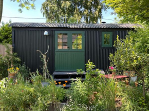 The Rumple Hut